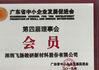 Chiny SHENZHEN FEIYANG PROTECH CORP.,LTD Certyfikaty